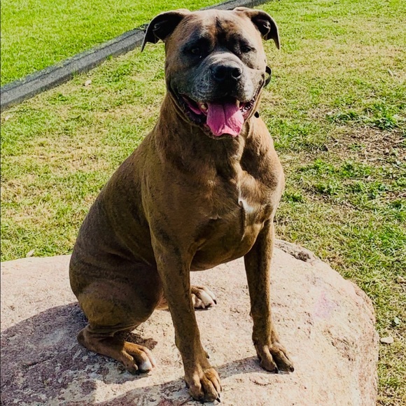 Meet your Posher, Brett - Picture 1 of 1